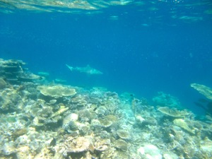 f0190653_21471493.jpg