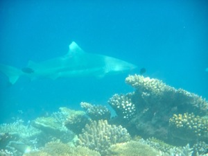 f0190653_21472555.jpg