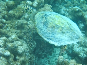 f0190653_2149146.jpg