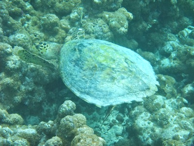 f0190653_21493761.jpg
