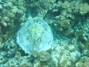 f0190653_21495012.jpg