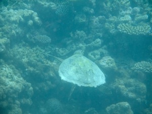 f0190653_21505786.jpg