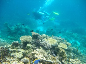 f0190653_2232495.jpg