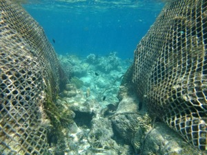 f0190653_2233734.jpg