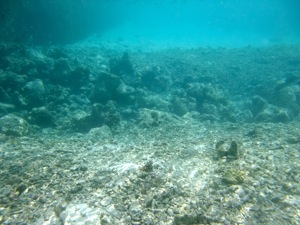 f0190653_2241031.jpg