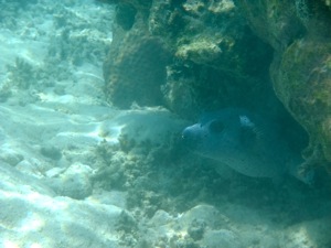 f0190653_2241383.jpg