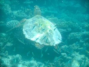 f0190653_2241770.jpg
