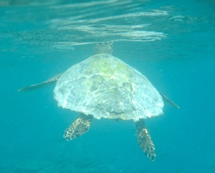 f0190653_2242144.gif
