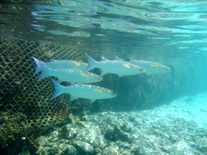 f0190653_224298.jpg