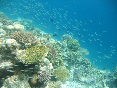 f0190653_2243496.jpg