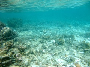 f0190653_2243891.jpg
