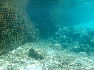 f0190653_224685.jpg