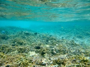 f0190653_2283015.jpg