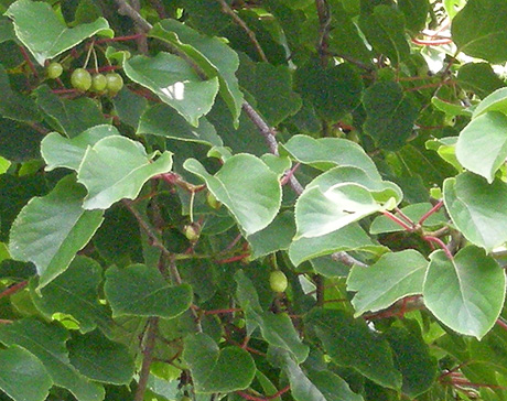 a0001354_22384384.jpg