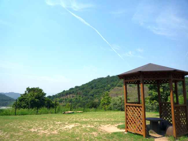 c0109957_22205627.jpg