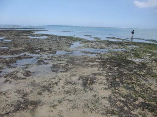 f0205857_105703.jpg