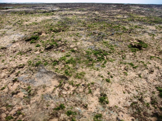 f0205857_10571344.jpg