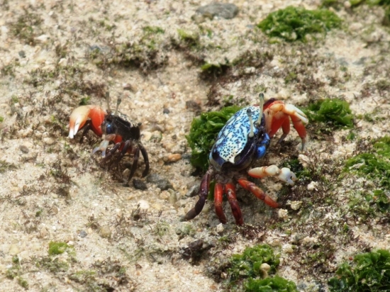 f0205857_1104650.jpg