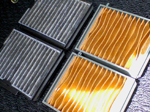 a0053558_1752813.jpg