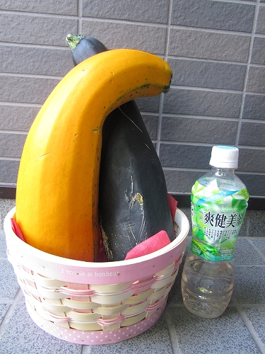 a0066258_17383342.jpg
