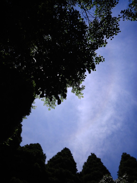 e0067358_17403016.jpg