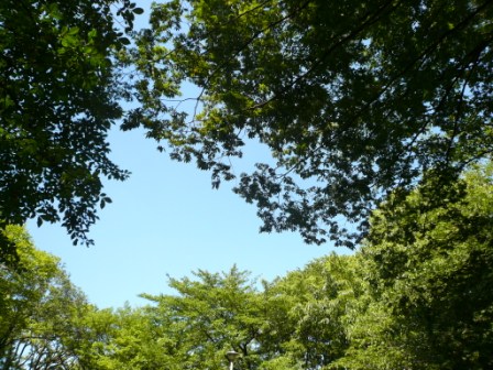 a0158061_8503052.jpg