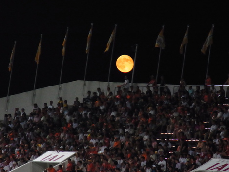 e0227665_017562.jpg