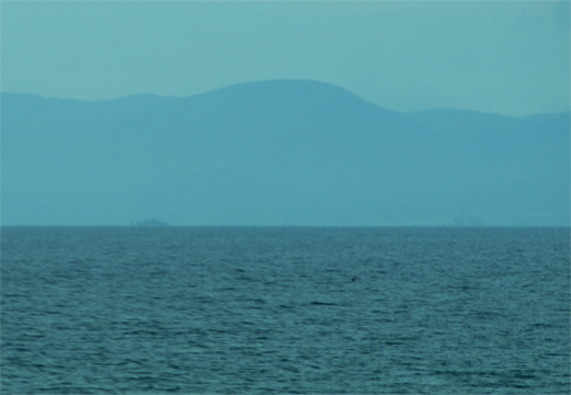 c0122266_21183491.jpg