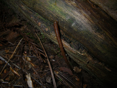 c0002874_21371754.jpg