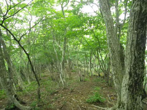 c0002874_21471580.jpg