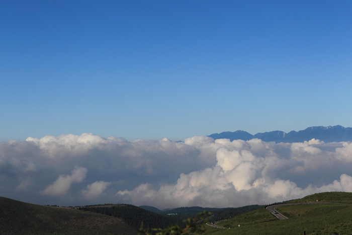 c0008378_22522699.jpg