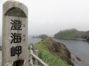 d0082980_22542633.jpg