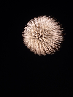 a0152785_2362398.jpg