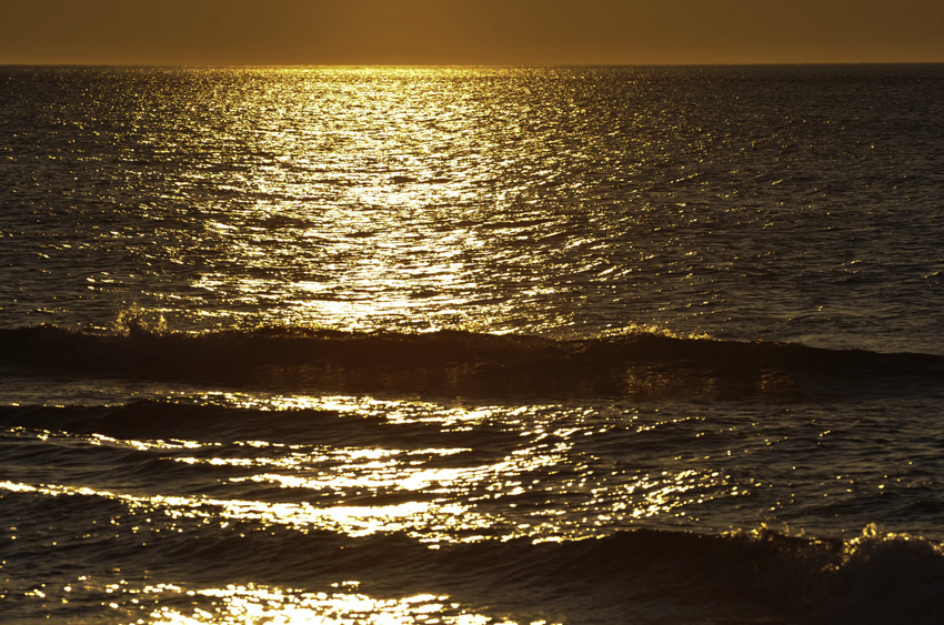 f0112087_1657597.jpg