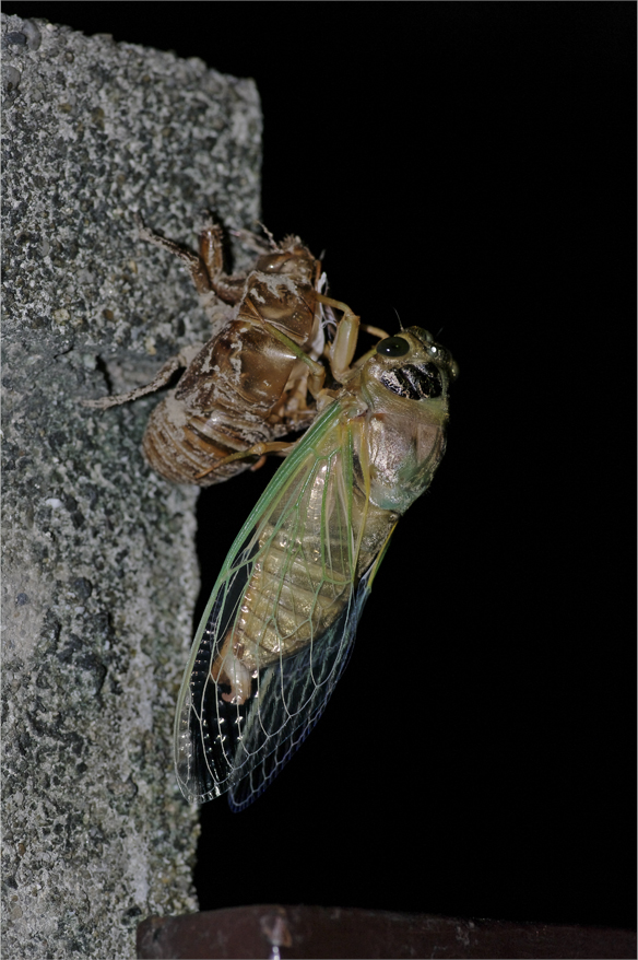 d0209988_18384123.jpg