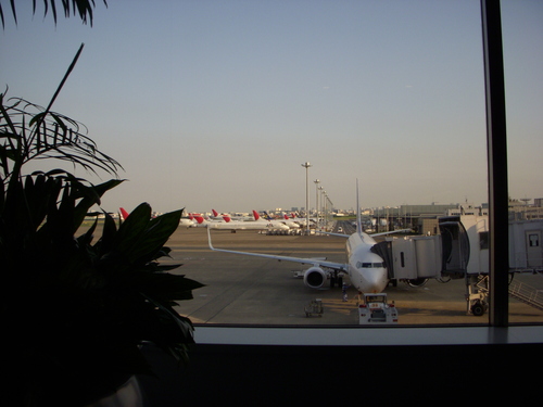 d0174489_1582137.jpg