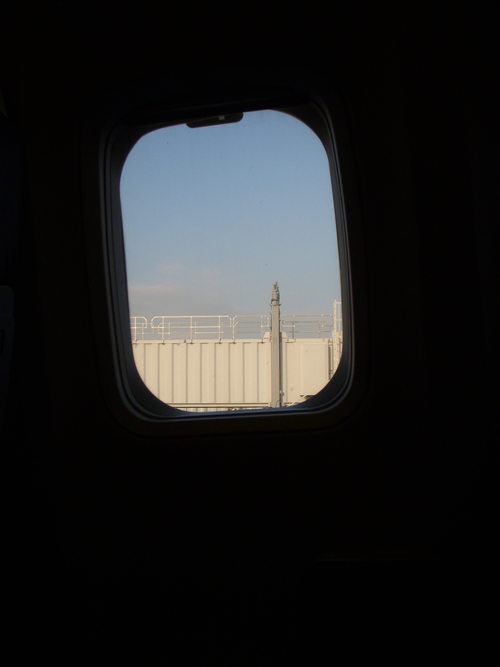 d0174489_1591696.jpg