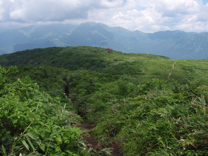 b0039898_16561615.jpg