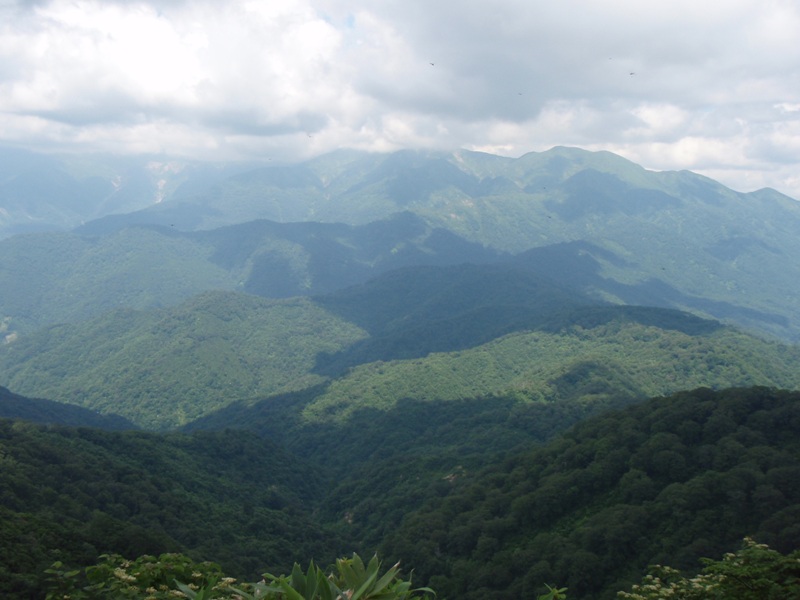 b0039898_16563562.jpg