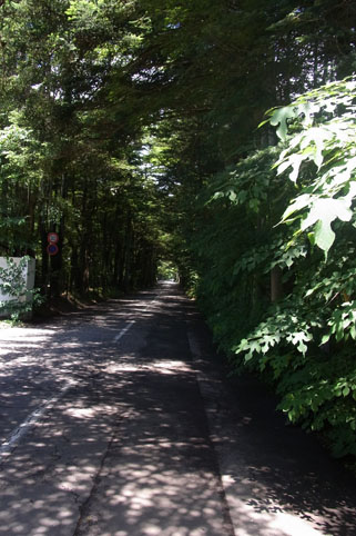 b0101300_13562875.jpg