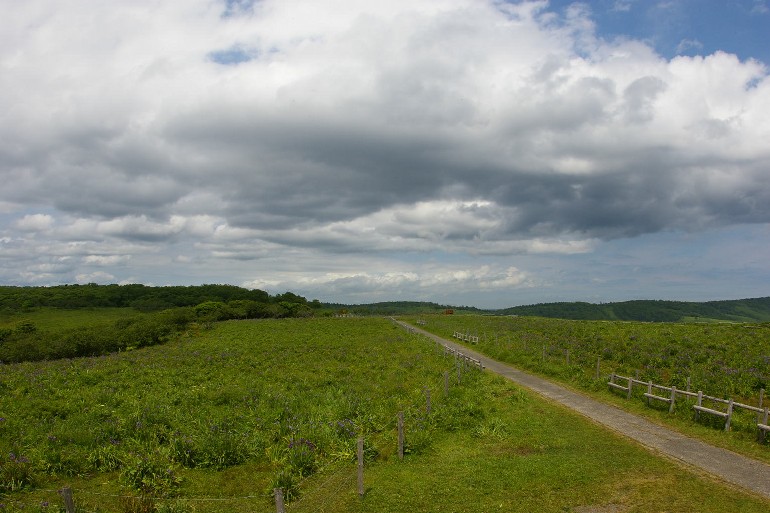 d0124100_2131586.jpg