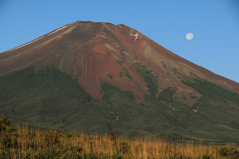 a0188405_95574.jpg