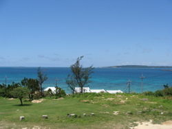 d0107605_22522988.jpg
