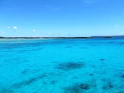 d0107605_2332830.jpg