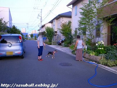 e0145805_1918379.jpg