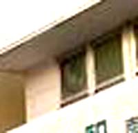 e0103408_15501258.jpg