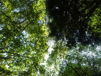 f0226208_13312157.jpg