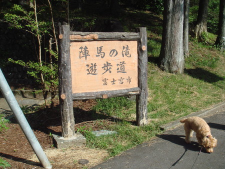 b0199912_1263815.jpg