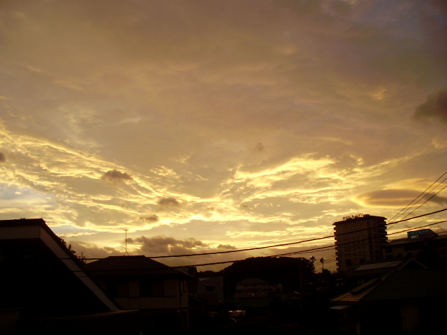 f0153112_20115314.jpg