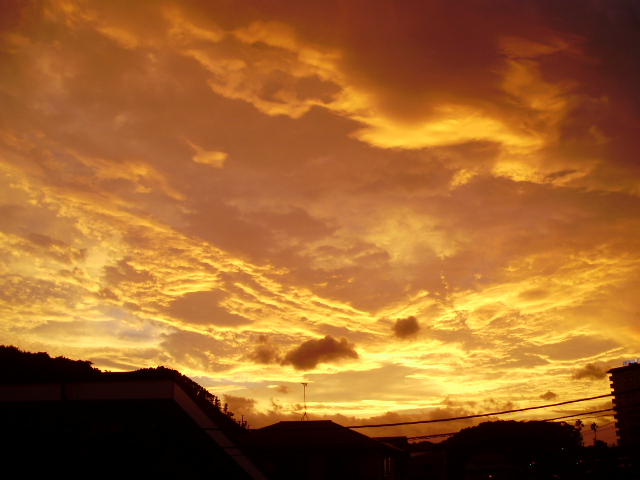 f0153112_20125723.jpg